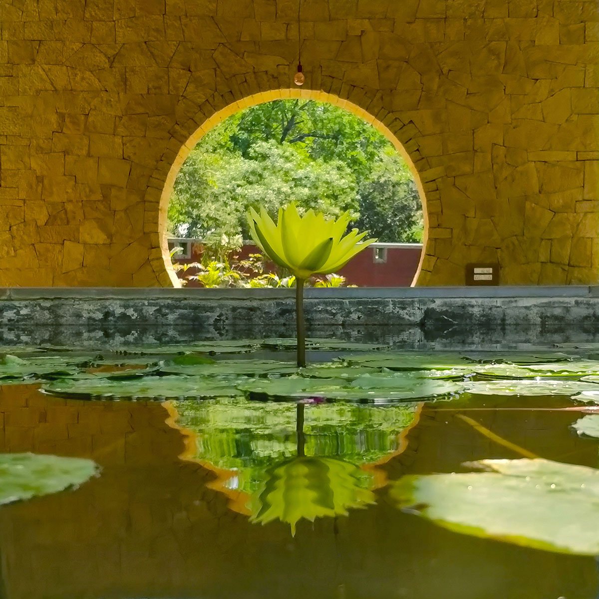 Kamala Cafe | Studio Praxis