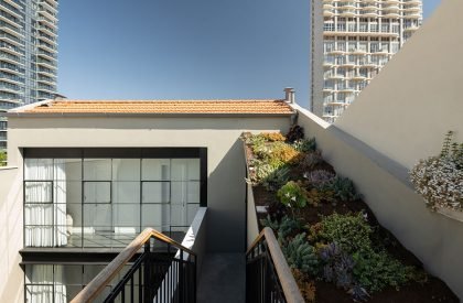 Neve Tzedek Patio House | Meiarv Galan Architect