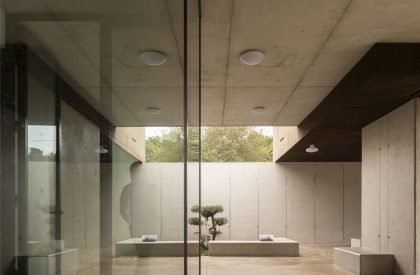 Casa da Árvore | Contaminar Arquitetos