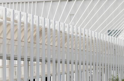 Megapark | Architectkidd