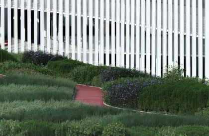 Megapark | Architectkidd