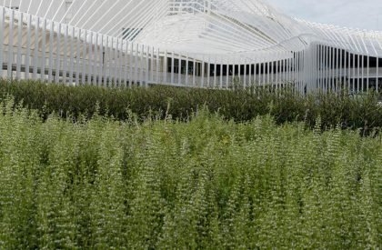 Megapark | Architectkidd