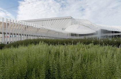 Megapark | Architectkidd