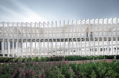 Megapark | Architectkidd