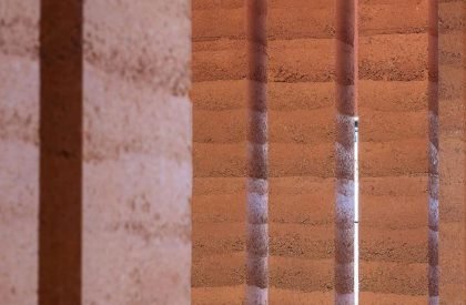 Original Chicken | Nature Times Art Design