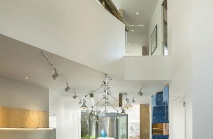 The N M Bodecker Foundation | Skylab