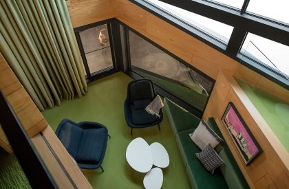 The N M Bodecker Foundation | Skylab