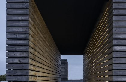 TD House | ESQUISSOS Arquitectura e Consultoria