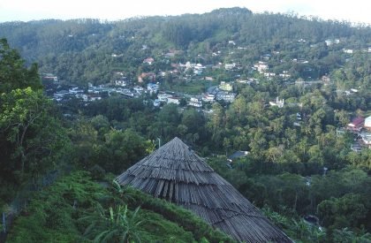 The Ledge | Wallmakers