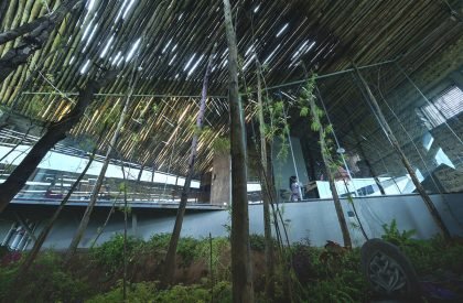 The Ledge | Wallmakers