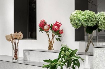 Absolute Flower Shop | More Design Office (MDO)
