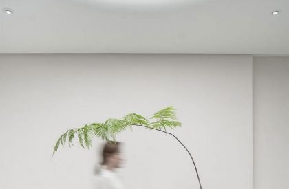 Absolute Flower Shop | More Design Office (MDO)