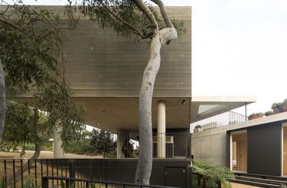 Acute House | MCK Architecture & Interiors