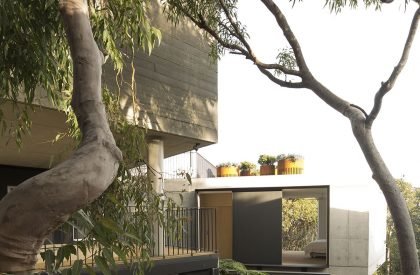 Acute House | MCK Architecture & Interiors