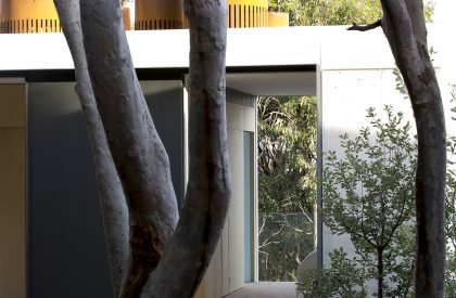 Acute House | MCK Architecture & Interiors