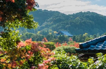 House in Okazaki 1st | Reiichi Ikeda Design