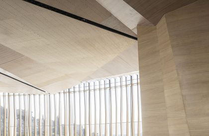 Botanical Garden Event Center | Matti Rosenshine Architects