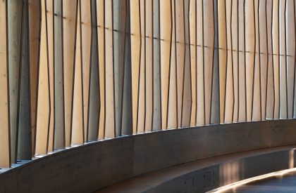 Botanical Garden Event Center | Matti Rosenshine Architects