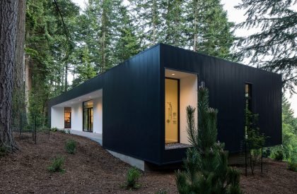 Collector’s Retreat | Heliotrope Architects