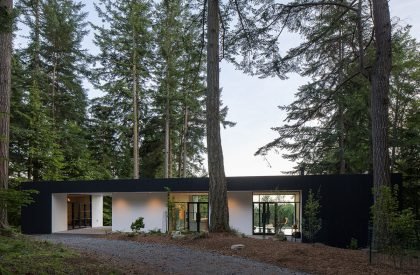 Collector’s Retreat | Heliotrope Architects