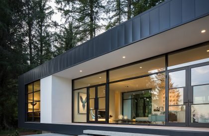 Collector’s Retreat | Heliotrope Architects