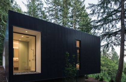 Collector’s Retreat | Heliotrope Architects