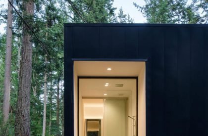 Collector’s Retreat | Heliotrope Architects