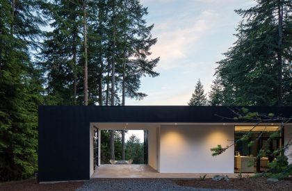 Collector’s Retreat | Heliotrope Architects