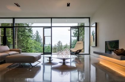 Collector’s Retreat | Heliotrope Architects