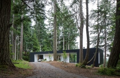 Collector’s Retreat | Heliotrope Architects