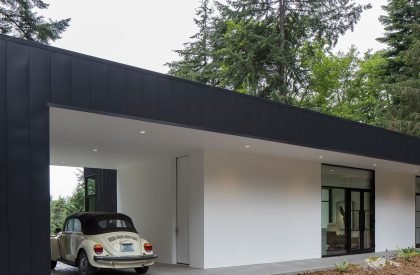 Collector’s Retreat | Heliotrope Architects