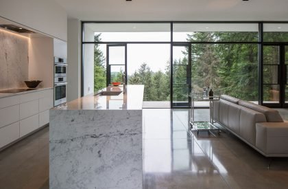 Collector’s Retreat | Heliotrope Architects