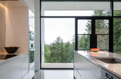 Collector’s Retreat | Heliotrope Architects