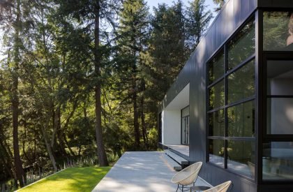 Collector’s Retreat | Heliotrope Architects
