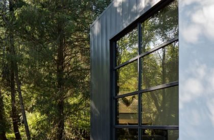 Collector’s Retreat | Heliotrope Architects