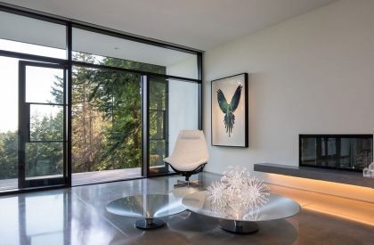 Collector’s Retreat | Heliotrope Architects