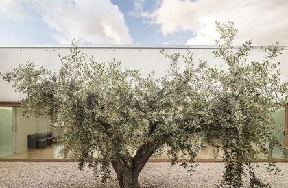 Day center and Home for the elderly of Blancafort | Guillem Carrera