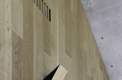 Extruded House | MCK Architecture & Interiors