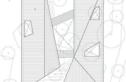 Forest House | Triangular