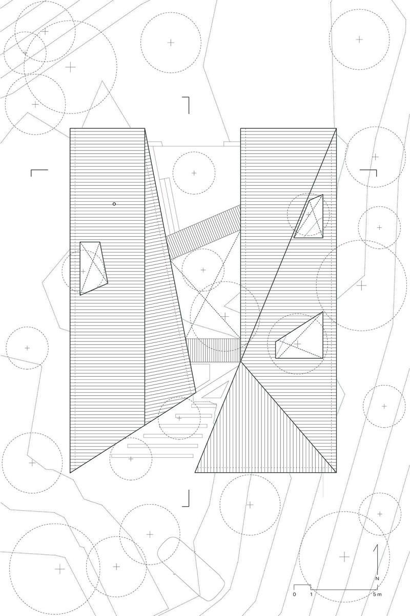 Forest House | Triangular