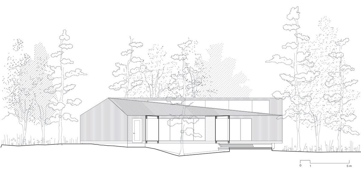 Forest House | Triangular