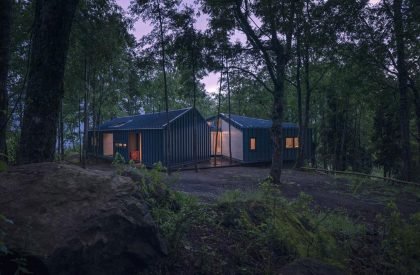 Forest House | Triangular