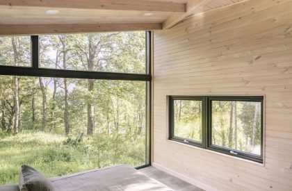 Forest House | Triangular
