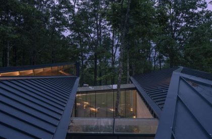 Forest House | Triangular