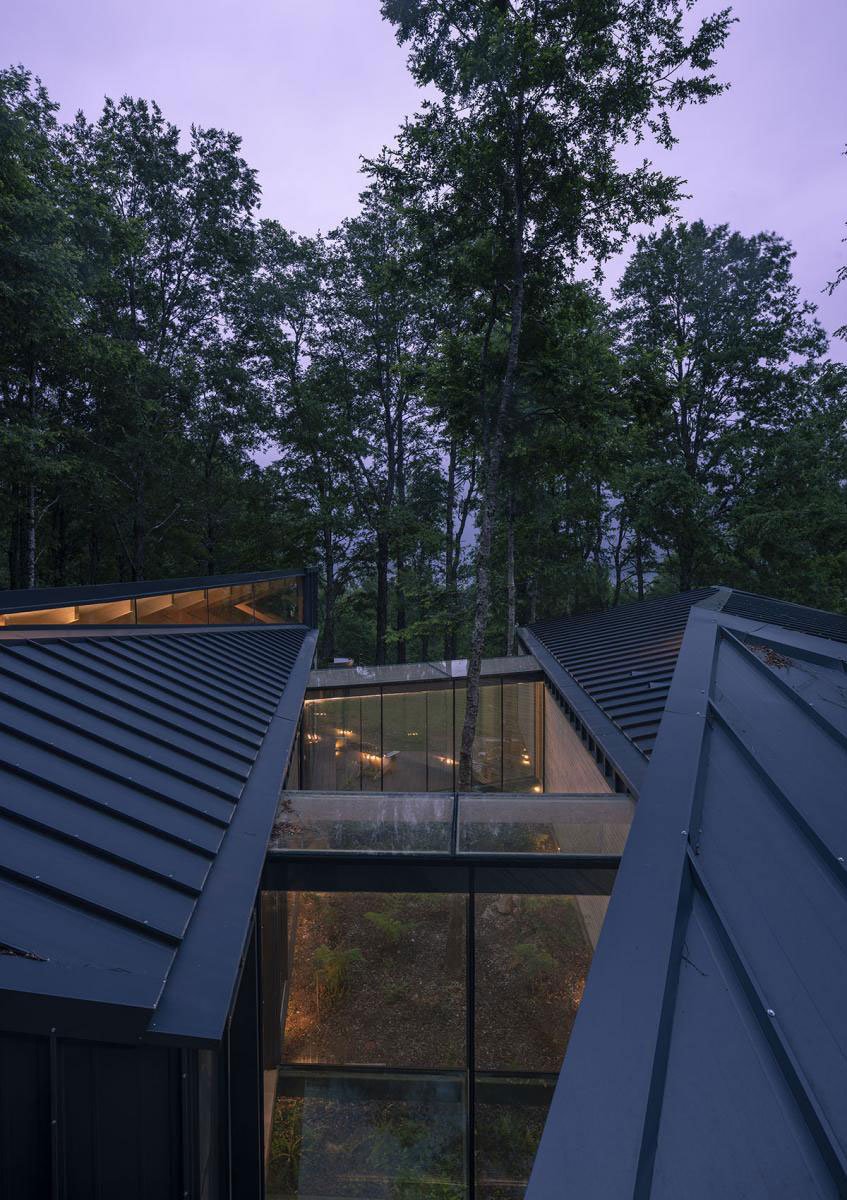 Forest House | Triangular