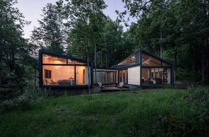 Forest House | Triangular