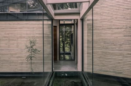 Forest House | Triangular