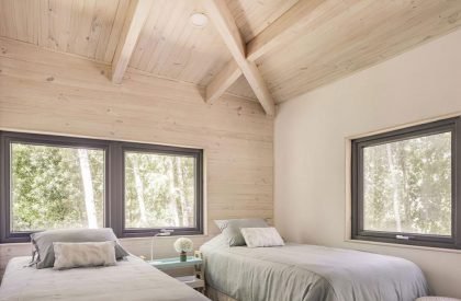 Forest House | Triangular