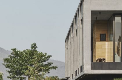 Mirador | SHROFFLEóN