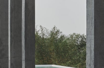 Mirador | SHROFFLEóN